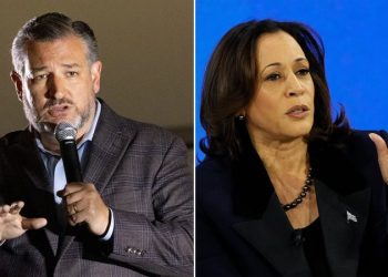 Sen Ted Cruz calls out VP Kamala Harris for Palestinian sympathy push: ‘Undermining Israel’