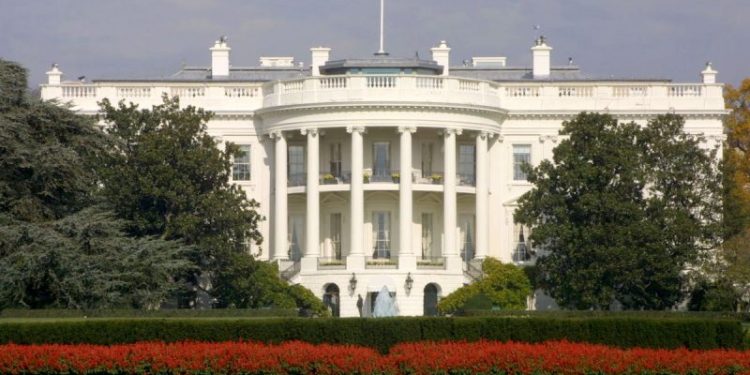 Biden’s 2024 election insurance policy might surprise you