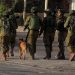 Israeli forces reveal footage of K9 unit clearing houses in Gaza, uncovering Hamas weapons