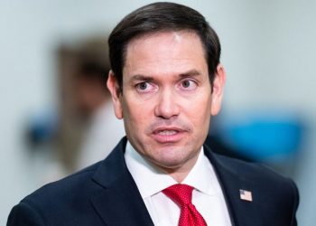Rubio becomes 2nd Florida senator to endorse Trump over DeSantis