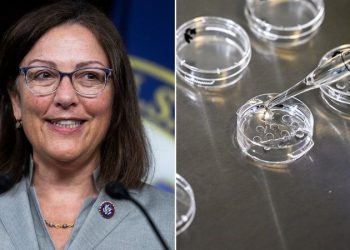 House Democrats eye Alabama IVF ruling as path to retaking majority in November
