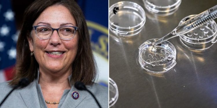 House Democrats eye Alabama IVF ruling as path to retaking majority in November