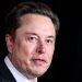 Tesla’s affordability push eases growing doubts about its performance and Musk’s focus