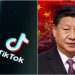 Expert warns of ‘chilling reality’ TikTok threat poses: ‘China’s greatest asymmetric advantage’