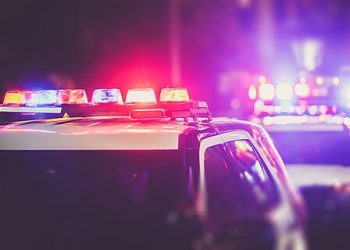 Crime Rates, Not the Number of Crimes, Are a Better Way to Judge Immigrant Criminality