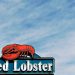 Red Lobster files for bankruptcy, but restaurants will stay open