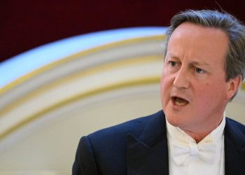 UK’s Cameron discussed Ukraine-Russia peace deal with Trump: report