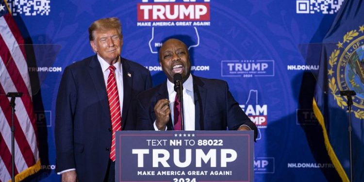 Senator’s fundraising skill could be winning ticket for Trump’s veepstakes