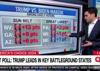 You’ll laugh at who MSNBC brought to whine about Trump’s alleged affair