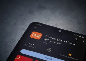 EU designates Temu as a ‘very large online platform’, what does it mean for Chinese e-tailer?