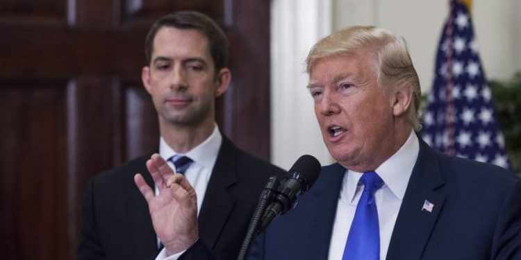 Potential Trump running mate Tom Cotton took hard look at 2024 run, but being a father came first