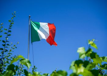 Italian Consumer Price Index remains stable at 0.8% in June