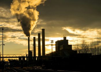 Fossil fuels consumption hit record highs in 2023, Energy Institute reveals