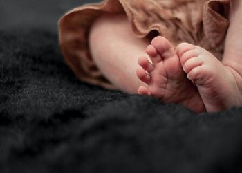 IVF Critics’ Claims Don’t Hold Up under Scrutiny