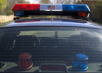 Barnes v. Felix Brief: Officers Must Be Held Accountable for Needless Deadly Force