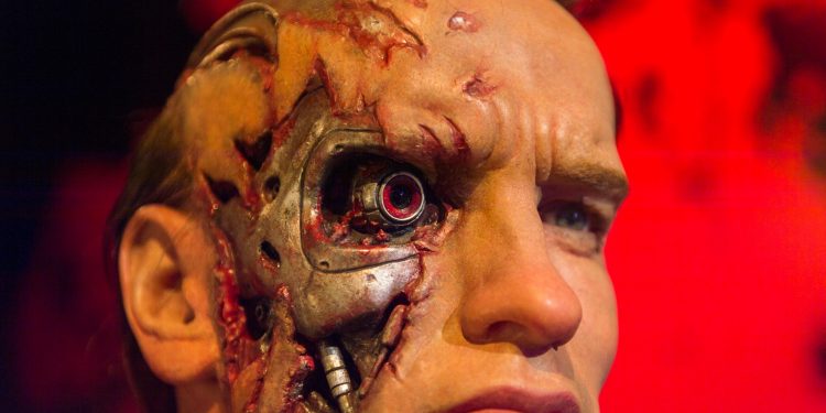 Memeinator has made waves in 2024: what makes MMTR a good investment?