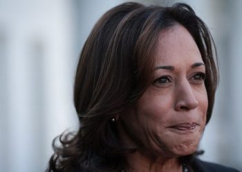 Dem strategists say Harris ‘only practical choice’ as party leaders begin endorsing her