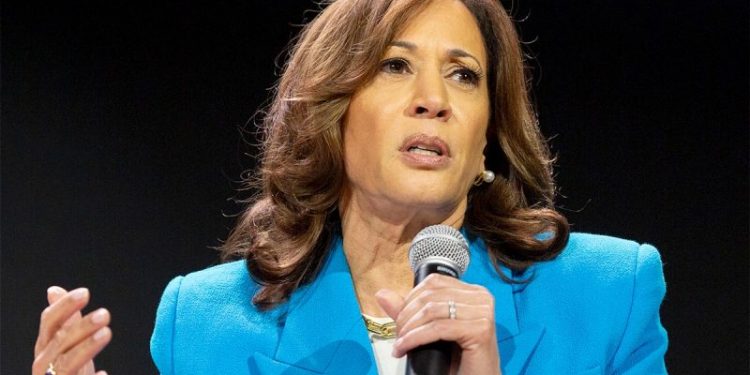 Kamala Harris confirms 2024 presidential bid after Biden drops out