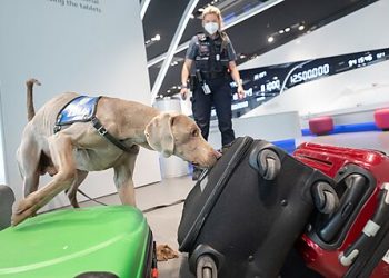 The Xylazine Scourge Widens