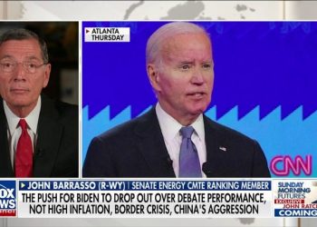 Fauci says Biden’s bid for second term is ‘an individual choice,’ recalls ‘positive’ experience with president