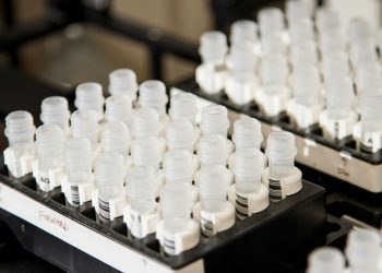 Agenus stock plummets over 50% as FDA rejects accelerated approval for BOT/BAL cancer therapy