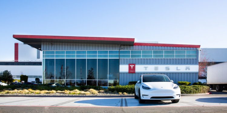 Tesla tanks on Robotaxi delay