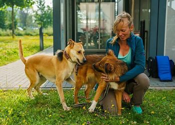 Will Incumbents Block Innovations in Veterinary Health Care Delivery?