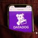 Is Datadog stock a buy after impressive Q2 results? Strong earnings and growth prospects signal opportunity