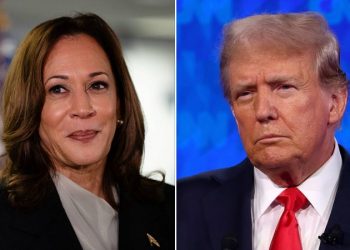 Harris, Trump favorability ratings are on the rise among American voters, poll finds