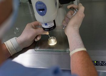 Trump Proposes to Socialize IVF