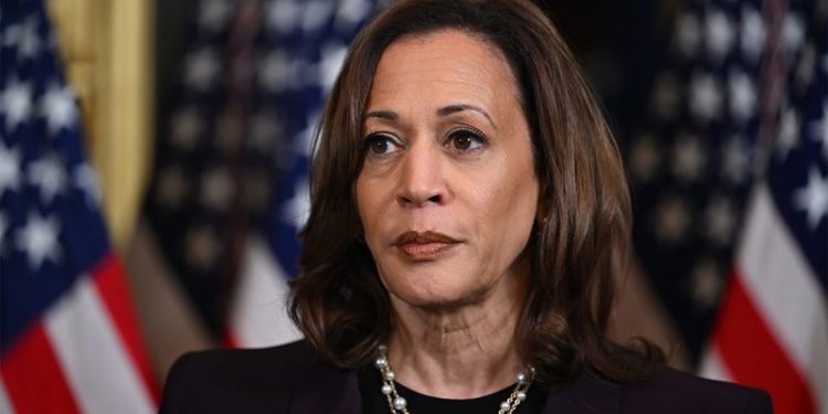 Ex-Obama official predicts Harris will seek new Iran nuclear deal: ‘Has to be the goal’