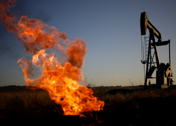 ‘Corruptly influencing the courts’: Climate justice group that trains federal judges under scrutiny