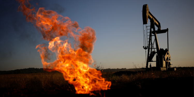 Climate justice group that trains federal judges accused of ‘corruptly influencing courts’