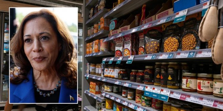 ‘Nail in the coffin’: Grocer turned House lawmaker trashes Kamala Harris’ price control plan