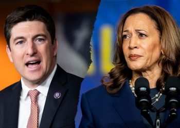 ‘Serious loophole’: GOP widens probe into ActBlue, Dem fundraising platform helping Harris raise millions
