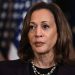Harris failing to cobble together Biden’s winning 2020 coalition: analysis