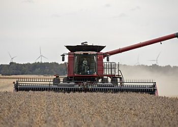 Kennedy Says Cut Subsidies for Farmers and Junk Food