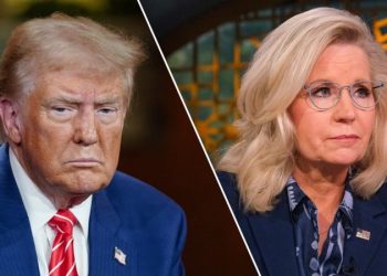 Liz Cheney bashes Trump in new key battleground Harris ad as election hits final sprint