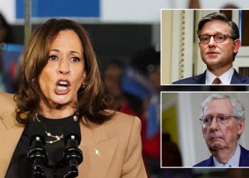 Harris silent after GOP leaders say ‘fascist’ rhetoric ‘risks inviting’ another Trump assassination attempt