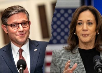 ‘No such promise’: Johnson blasts Dem accusations he vowed to end ObamaCare as ‘dishonest’