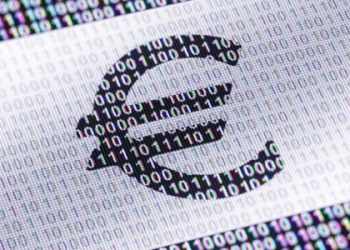 The Digital Euro Divide in the EU