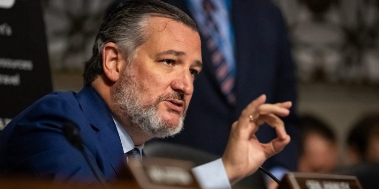 Cruz says UN draft resolution against Israel is aimed at undermining incoming Trump admin, GOP Congress