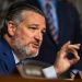 Cruz says UN draft resolution against Israel is aimed at undermining incoming Trump admin, GOP Congress