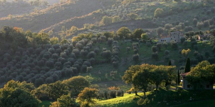 Italian village offering 1 Euro homes to Americans ‘worn out’ from election results