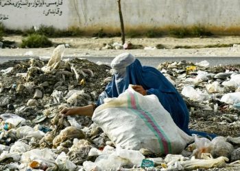 Afghans for Trump group looking to make foreign policy — and 2021 withdrawal — front and center in election