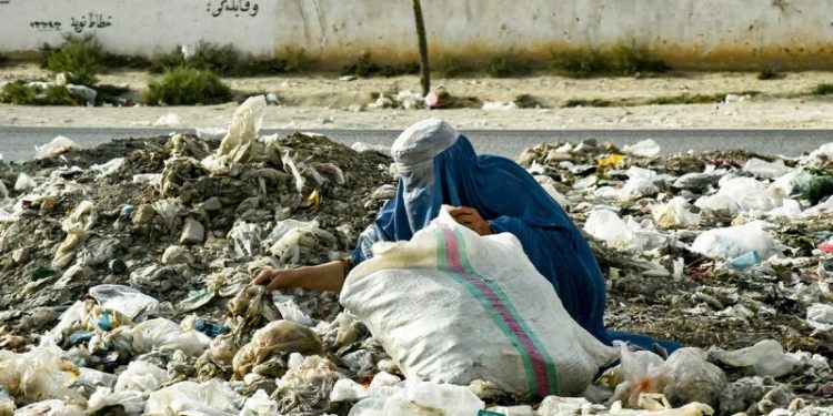 Afghans for Trump group looking to make foreign policy — and 2021 withdrawal — front and center in election