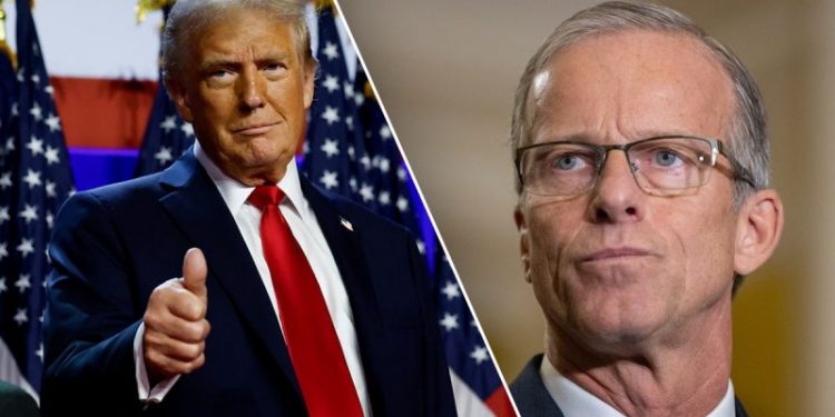 Trump says Thune ‘will do an outstanding job’ as Senate majority leader