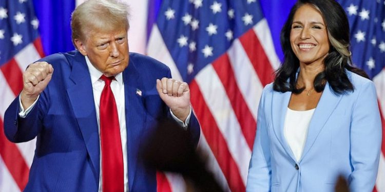 Democrats trash Tulsi Gabbard after Trump taps her for DNI post
