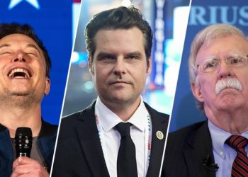 Elon Musk blasts John Bolton as ‘staggeringly dumb warmonger’ after criticism of Trump AG pick Matt Gaetz
