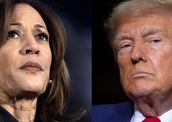 Trump’s ‘they/them’ ads combined culture war, economic worries to make effective pitch: expert